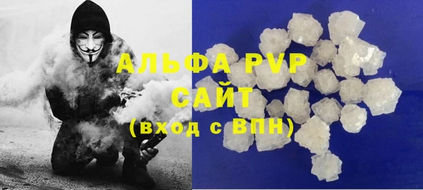 прущие грибы Бабаево