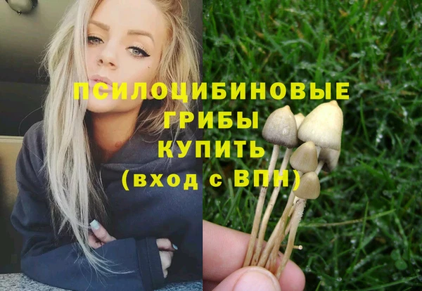 Альфа ПВП Заводоуковск