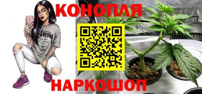 спиды Кунгур